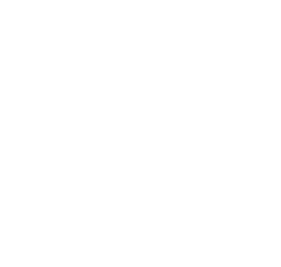visa-w88