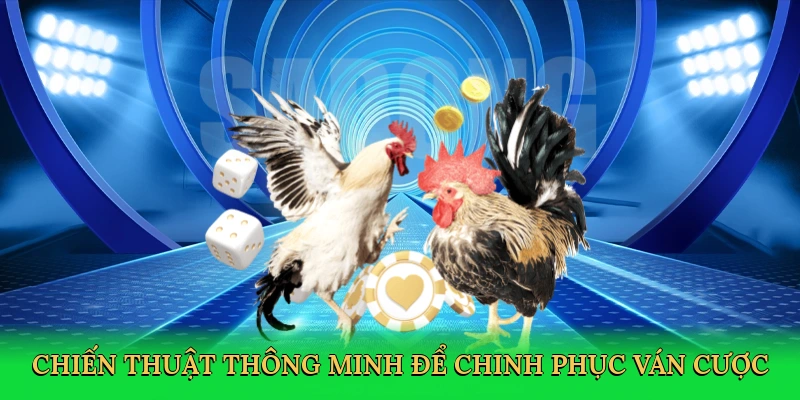 chien-thuat-thong-minh-de-chinh-phuc-van-cuoc-4