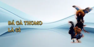 da-ga-thomo-la-gi-1