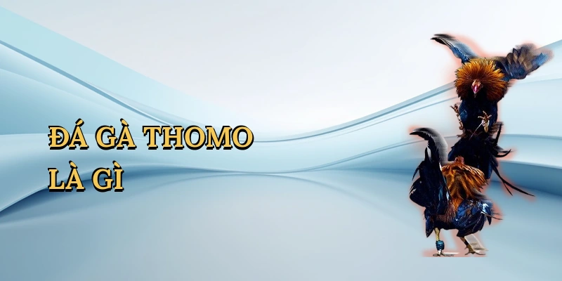 da-ga-thomo-la-gi-1