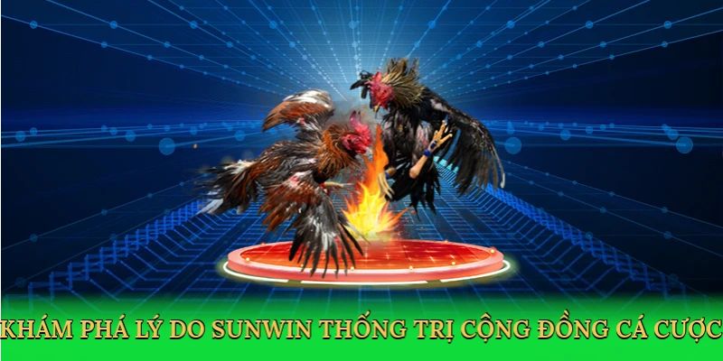 kham-pha-ly-do-sunwin-thong-tri-cong-dong-ca-cuoc-3