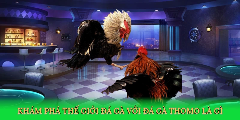 kham-pha-the-gioi-da-ga-voi-da-ga-thomo-la-gi-2