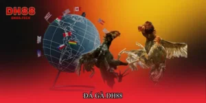 Đá gà dh88