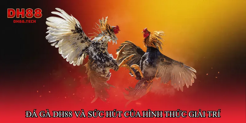 Đá gà dh88 và sức hút của hình thức giải trí trực tuyến