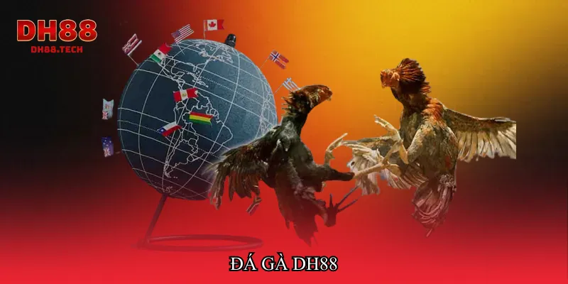 Đá gà dh88